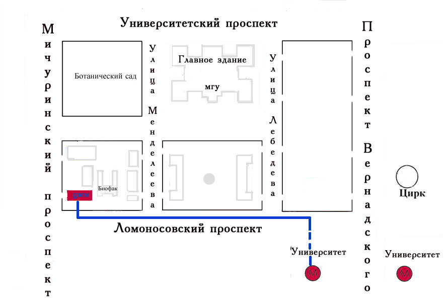 план маршрута от дома до школы схема